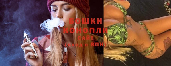 ГАЛЛЮЦИНОГЕННЫЕ ГРИБЫ Новозыбков