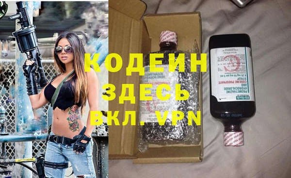 ГАЛЛЮЦИНОГЕННЫЕ ГРИБЫ Новозыбков