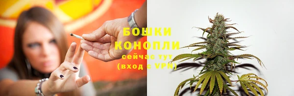 ГАЛЛЮЦИНОГЕННЫЕ ГРИБЫ Новозыбков