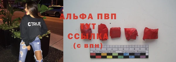 ГАЛЛЮЦИНОГЕННЫЕ ГРИБЫ Новозыбков