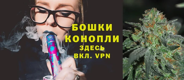 ГАЛЛЮЦИНОГЕННЫЕ ГРИБЫ Новозыбков