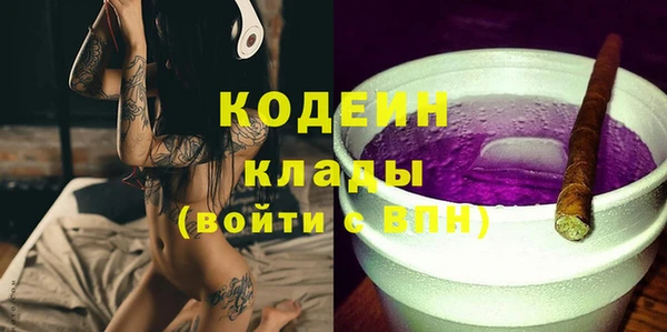 ГАЛЛЮЦИНОГЕННЫЕ ГРИБЫ Новозыбков