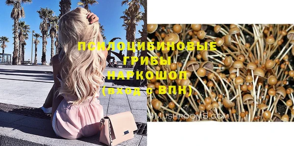 ГАЛЛЮЦИНОГЕННЫЕ ГРИБЫ Весьегонск