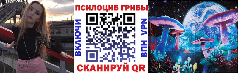 Псилоцибиновые грибы Psilocybine cubensis  Олонец 